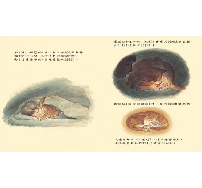 動物寶寶是怎麼出生的？